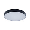 Картинка - Светильник потолочный Loft It Axel 10002/24 Black