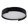 Картинка - Светильник потолочный Loft It Coin 10200 Black