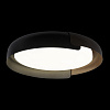 Картинка - Светильник потолочный Loft It Coin 10198 Black