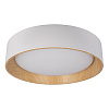 Картинка - Светильник потолочный Loft It Coin 10202 White