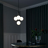 Картинка - Подвесная люстра ImperiumLoft Raffin01 177909-26