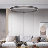 Картинка - Подвесной светильник Delight Collection MD19030068-1C black/gold