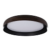 Картинка - Светильник потолочный Loft It Coin 10198 Black