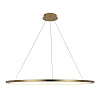 Картинка - Светильник подвесной Loft It Ring 10014XXL