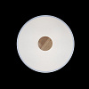 Картинка - Светильник потолочный Loft It Axel 10003/24 White