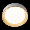 Картинка - Светильник потолочный Loft It Coin 10202 White