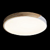 Картинка - Светильник потолочный Loft It Axel 10004/36 White