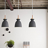 Картинка - Светильник подвесной ImperiumLoft Omg1 179781-26