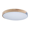 Картинка - Светильник потолочный Loft It Axel 10004/36 Grey