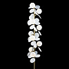 Картинка - Торшер Loft It Matisse 10008F white