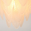Картинка - Люстра Delight Collection BRCH9126-60