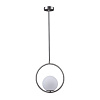 Картинка - Светильник подвесной Loft It Glob LOFT2600-B