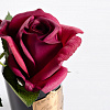 Картинка - Диффузор ароматический Rose Bud Red