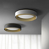 Картинка - Светильник потолочный ImperiumLoft Casing-C01 189557-26