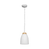 Картинка - Светильник подвесной Loft It Restor LOFT4402A-WH