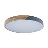 Картинка - Светильник потолочный Loft It Axel 10004/36 Grey