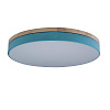 Картинка - Светильник потолочный Loft It Axel 10001/36 Blue