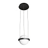 Картинка - Светильник подвесной Loft It Jardin 10121/A