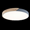 Картинка - Светильник потолочный Loft It Axel 10004/36 Grey