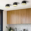 Картинка - Светильник потолочный ImperiumLoft Brim01 184476-26