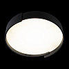 Картинка - Светильник потолочный Loft It Coin 10200 Black