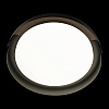 Картинка - Светильник потолочный Loft It Coin 10198 Black