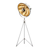 Картинка - Торшер Delight Collection Studio white/gold