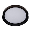 Картинка - Светильник потолочный Loft It Coin 10198 Black