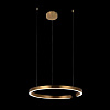 Картинка - Светильник подвесной Loft It Ring 10013L