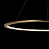 Картинка - Светильник подвесной Loft It Ring 10014L