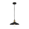 Картинка - Светильник подвесной Loft It Piligrimm LOFT1101