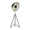 Картинка - Торшер Delight Collection Studio black/silver