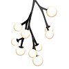 Картинка - Люстра Delight Collection MD2050-10A black