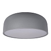Картинка - Светильник потолочный Loft It Axel 10201/480 Grey