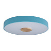 Картинка - Светильник потолочный Loft It Axel 10003/24 Blue