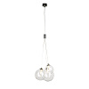 Картинка - Светильник подвесной Loft It Dew 10090 Clear