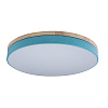 Картинка - Светильник потолочный Loft It Axel 10001/36 Blue