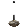 Картинка - Светильник подвесной Loft It Iris 2070-C+BL