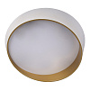 Картинка - Светильник потолочный Loft It Coin 10199 White