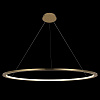 Картинка - Светильник подвесной Loft It Ring 10014XXL