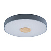 Картинка - Светильник потолочный Loft It Axel 10003/24 Grey