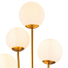 Картинка - Торшер Delight Collection Tortora brass