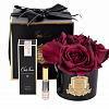 Картинка - Диффузор ароматический Five Rose Red