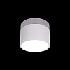Картинка - Накладной светильник Loft It Photon 10179/7 White