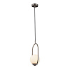 Картинка - Светильник подвесной Loft It Glob LOFT2595-B