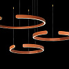 Картинка - Подвесная люстра Loft It Ring 10025/3 Orange