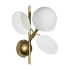 Картинка - Настенное бра Loft It Matisse 10008/1W white