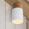 Картинка - Накладной светильник ImperiumLoft Woodl01 141159-26