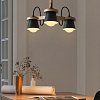 Картинка - Потолочная люстра ImperiumLoft Natura-B01 178081-26