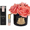 Картинка - Диффузор ароматический Five Rose Peach